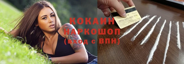 спайс Инта